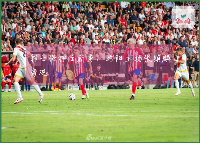郭士强押注新秀，沈阳主场张镇麟旁观