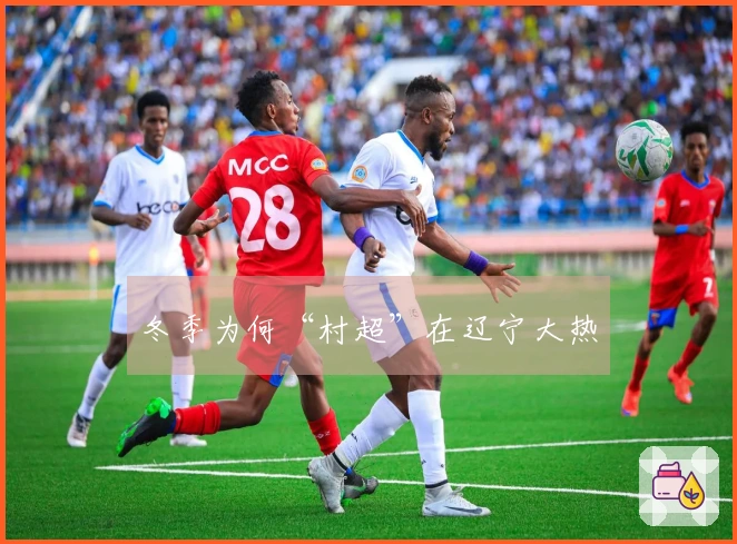 冬季为何“村超”在辽宁大热