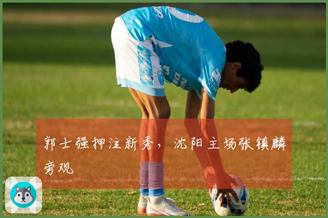 郭士强押注新秀，沈阳主场张镇麟旁观